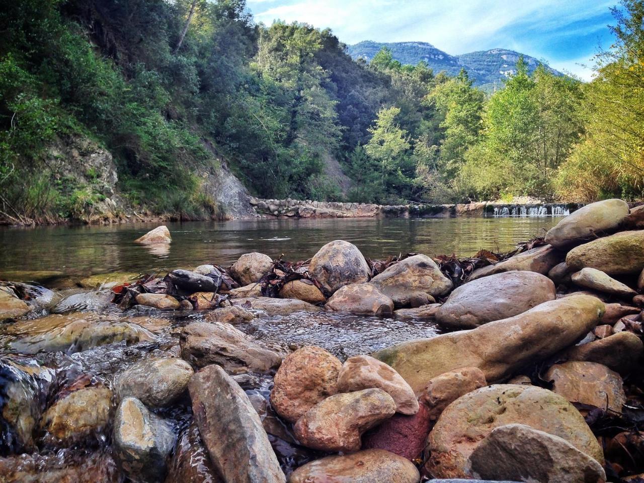 Camping Bassegoda Park Hotel Albanya Eksteriør billede